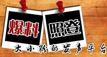 最新蓬莱爆料新闻,揭秘神秘事件背后的真相